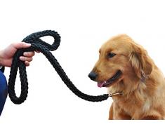 45/ cm Wifmann 01373/ Squelette Chien avec Laisse