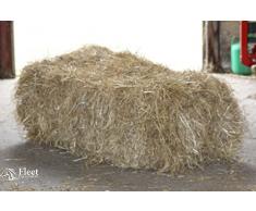 Fleet Farm Balle de foin pour chevaux d’environ 17 à 23 kg 100 x 50 x 40 cm