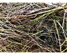 Heu-Heinrich® Balles de foin aux herbes bio 7-8 kg pour rongeurs, lapins, cochons dInde, chevaux
