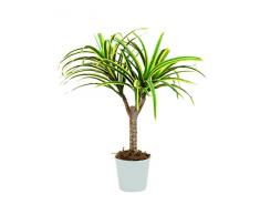 Pied de dracéna artificiel, pot décoratif, 55 feuilles,jaune-vert, 50 cm - arbuste vert / plante en plastique - artplants