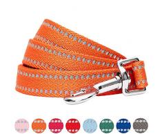 UMI. Essential Laisse réfléchissante Robuste pour Chien, Taille L, 120 x 2,5 cm, Citrouille Pastel