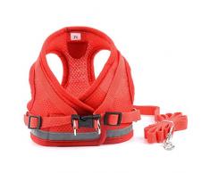Zunea Harnais pour Chien pour Petit Chien Chat sans Tirer Harnais Ajustable en Maille Filet Souple rembourré Vest Harnais Laisse avec Ensemble de Bande réfléchissante Chiots Laisse pour Chien