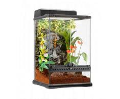 Exo Terra Pt2596 Tiki Terrarium Mini Tabouret 30 x 30 x 45 cm