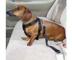 45/ cm Wifmann 01373/ Squelette Chien avec Laisse