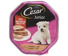 Cesar - Nourriture pour Chien - Junior - pour Chiots et Jeunes Chiens < 1 Ans - avec Dinde et calb dans la pâte - 14 Bols (14 x 150 g) - 2100 g