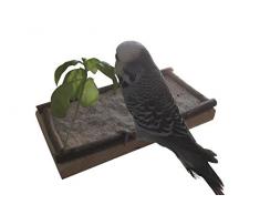 Super Siège Planche 20x10cm avec bois naturel pour perruche calopsitte| platforme pour Cage a Oiseaux perroquet| plateau, accessoires doiseaux allonger, asseoir, dormir