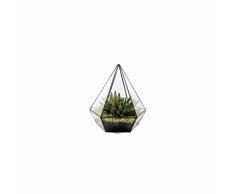 Terrarium