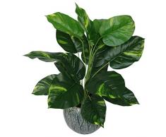 Leaf Design UK Plante Artificielle en Plastique Noir 60 cm