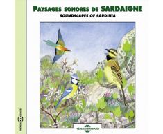 Echasse (Black-winged Stilt)