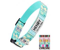 TagME Collier de Chien Personnalisé,Collier de Chien Souple avec Plaque Signalétique,Motif Élégant,Convient aux Chiens de Taille Moyenne,Turquoise