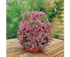 Potager ou jardin vertical en bois garanti 3 ans made in france (Bois naturel) - plus pratique qu'un carré potager!!
