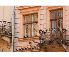 ISOTRONIC anti-oiseaux Piles et mobile Oiseau Répulsif ultrason Répulsif colombe colombe Pigeon de protection contre pigeons oiseaux et les mouettes sur balcon gouttière de fenêtre arbres fruitiers les Vergers Carport anti-oiseaux