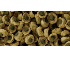 Sera - Reptil Professional - Nourriture pour reptiles herbivores - 85g