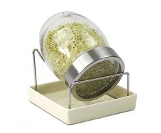 GEO GeoJar-Germoir in Verre, Brun, 14,5x15x15,5 cm