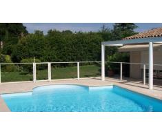 Chalet et jardin Barrière de Protection pour Piscine Panneau Transparent 96 x 112 cm (x1)
