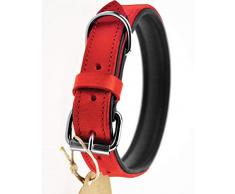 Schnüffelfreunde Collier pour Chien en Cuir à renifler