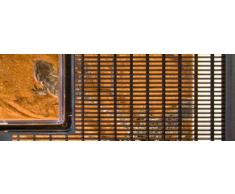 Exoterra Terrarium Polyvalent pour Reptile/Amphibien 36 x 21 x 16 cm