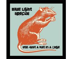 Still Just a Rat in a Cage