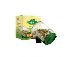 Petit germoir Germinator