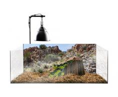 Exoterra Kit Terrarium pour Tortue Terrestre 60 x 35 x 23 cm