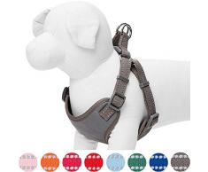 Umi. by Amazon - Harnais réglable réfléchissant pour chien, taille S, largeur de poitrail de 45 à 53,5 cm, Gris taupe pastel