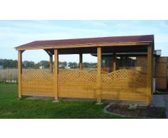 Carport Alaska