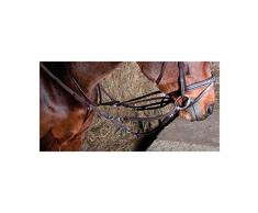 TdeT Enrênement HOWLETT Havane Cheval