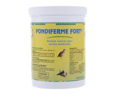 PONDIFERME FORT SEMOULETTE 1 kg aliment minéral pour poules pondeuses (relance la ponte, coquilles oeufs solides)