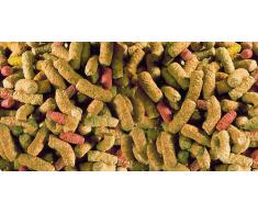 Sera - Raffy P - Nourriture pour reptiles - 1 x 3800 ml