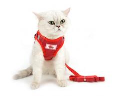 smalllee_lucky_store velours côtelé harnais pour chat chaton avec laisse anti évasion harnais pour chien petite taille anti traction,réfléchissant réglable chiot gilet,rouge,XS