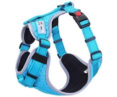 HAPPY HACHI Harnais Chien Réglable Respirant Réfléchissant Harnais Classique pour Marcher Promener (XS, Bleu)