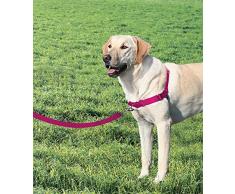 PetSafe Harnais pour Grand Chien Easy Walk (L) - Résistant et Anti-Traction - 4 points de Réglage - Framboise