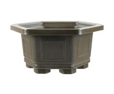 Pot à bonsaï 21.3x21.3x11cm marron foncé hexagonale plastique