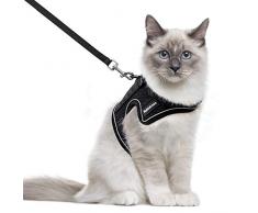 rabbitgoo Harnais Chat avec Laisse, Harnais Respirant pour Chaton avec Bandes réfléchissantes Gilet Noir réglables Facile à Mettre