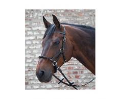 Waldhausen Filet sans Mors Linda Tellington Jones Noir Poney