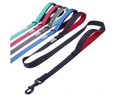 VIVAGLORY Laisse pour Chien avec Poignée Rembourrée Douce et Une Extra Poignée Laisse, 1.8m Laisse avec Durable de Haute Fils Réfléchissants, pour Chiens de Taille Moyenne à Grande, Noir