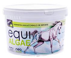 Complément alimentaire pour chevaux | Riche en vitamines A, C, D, B et biotine | Anti-inflammatoire | Composants 100% naturels: microalgues, levures et curcuma | 1,5 kg par conteneur