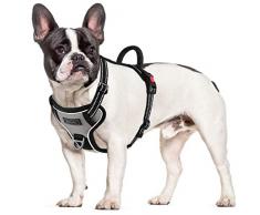 Petacc Harnais Chien,Harnais réfléchissant pour Chiens Harnais pour Animaux de Compagnie réglables, Gilet sans Harnais pour Chiens, avec Boucle d-Anneau Post-Positive pour Chiens (M, Gris)