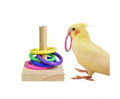 Oiseau Jouets Anneau Perroquet Puzzle Formation Jouet Plate-Forme En Bois Anneau En Plastique Intelligence Formation Mâcher Jouet Perruche Jouets Éducatifs pour Perruches Calopsittes, Conures, Aras