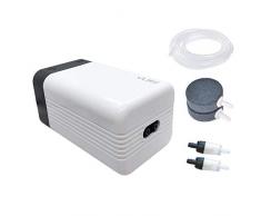 VLIKE Silencieux Silencieux réglable Pompe à air Aquarium avec Double Sortie, Pompe à air Ultra Silent Fish Tank pour Usage Domestique (2 Outlet avec Accessoires)