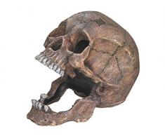 Nobby - Décoration pour aquarium - Tête de mort - 13,5 x 20 x 16,5 cm