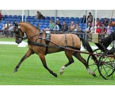 Harnais Lux cuir renforcé nylon Ideal - cheval, noir-mat, Laiton, antidérapantes, à étranglement, bracelets de brancards