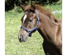 KERBL Exclusif Licol pour Poulain Bleu Foncé
