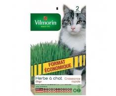 VILMORIN - Sachet Grand Modèle - Herbe à chat