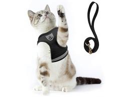 Supet Harnais pour Chat avec Laisse Gilet Réfléchissant en Nylon Souple pour Chien Chiot pour Laisser Courir des Laisses de Formation Convenant aux Chats, aux Chiots et aux Petits Animaux Domestiques