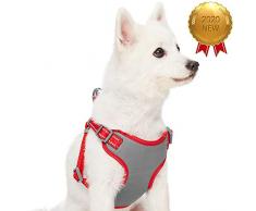 UMI. Essential Harnais réglable réfléchissant pour Chien, Taille S, Largeur de poitrail de 45 à 53,5 cm, Rouge Pivoine Pastel