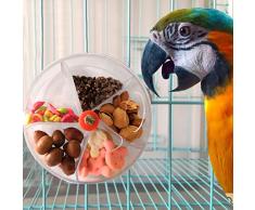 Jouet pour perroquet, jouet à mordre pour oiseaux, en forme de roue, rotatif pour oiseaux, boîte à nourriture