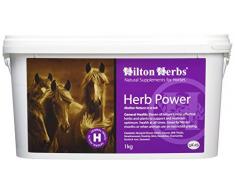Hilton Herbs Herb Power 1 kg Seau Complément Alimentaire Cheval Soutien Général par des Plantes Médicinales et des Vitamines