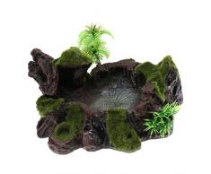 Sharplace Bol dalimentation en Résine Abreuvoir pour Terrarium Reptile Tortoise Décoration