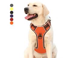 Heele Harnais pour chien anti-traction réglable pour extérieur, 3 m, tissu Oxford réfléchissant, pour chiot, chiens de petite, moyenne et grande tailles, 6 couleurs, 4 tailles